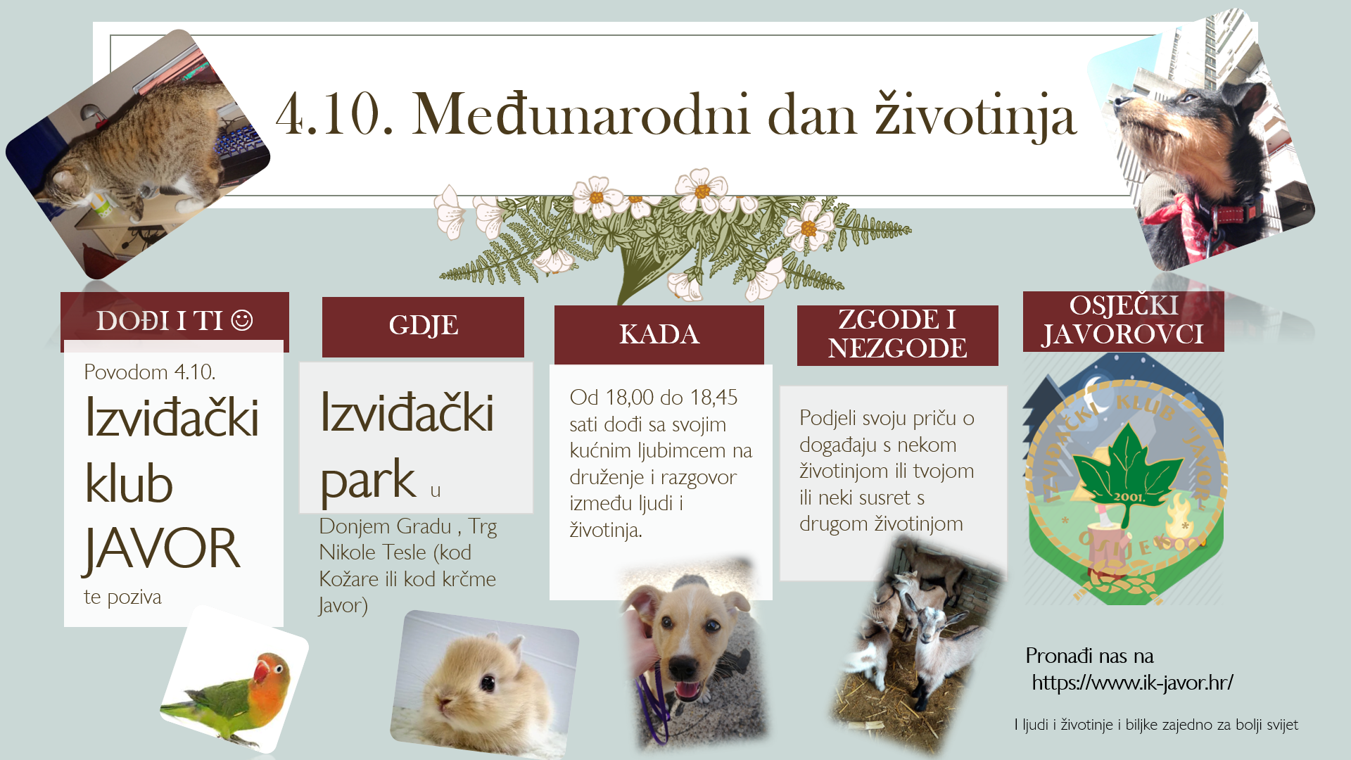 Dan životinja s IK Javor Osijek