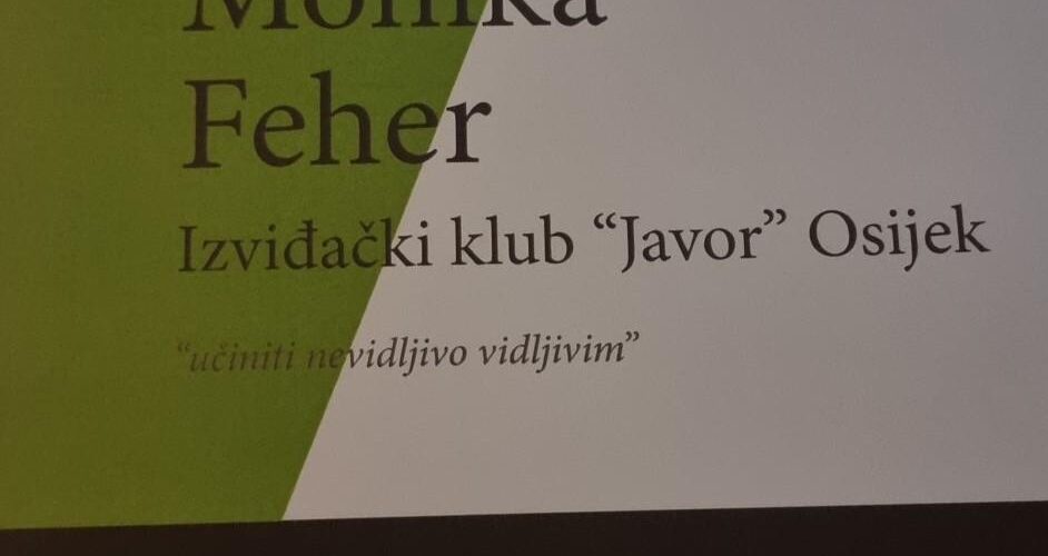 Monika Feher volontersko