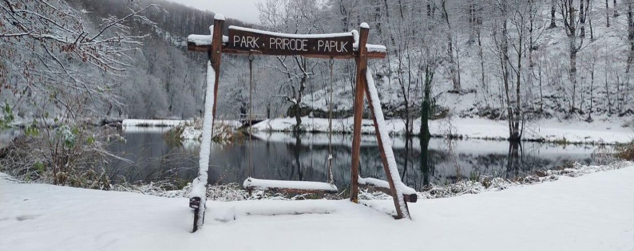 Ljuljačka na Jankovcu