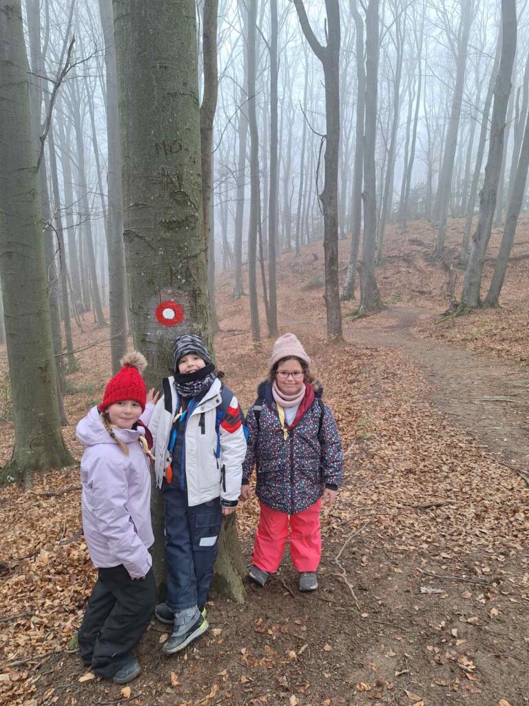 izviđači ispred drveta